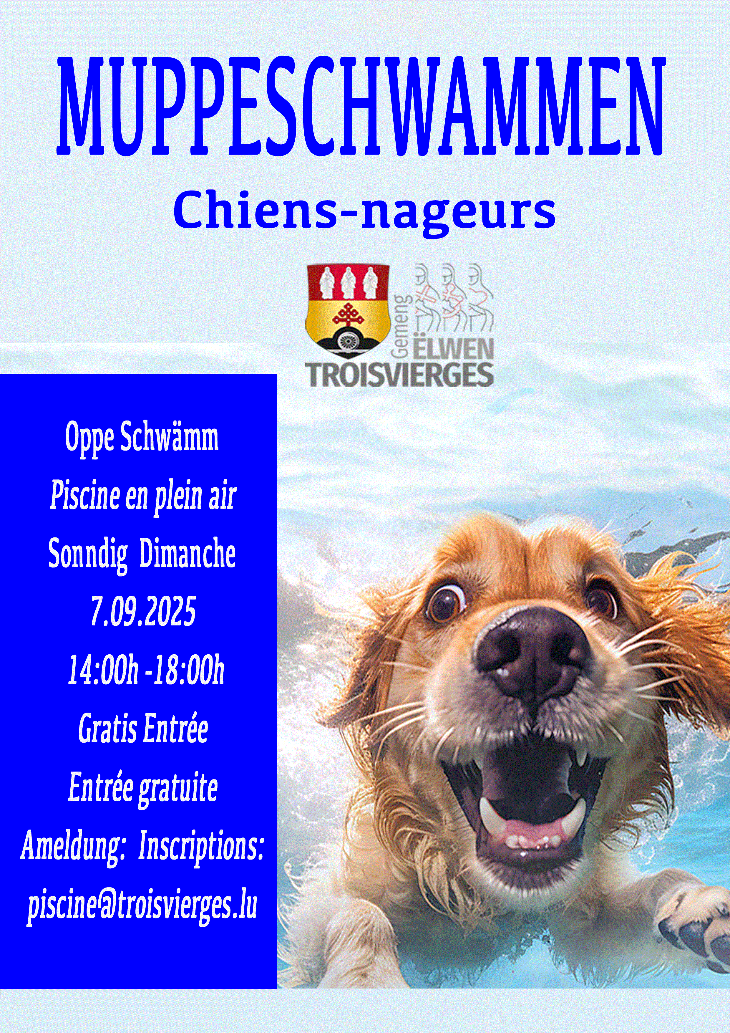Chiens- Nageurs - Accueil