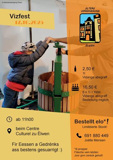 Vizfest 2025 - Actualités